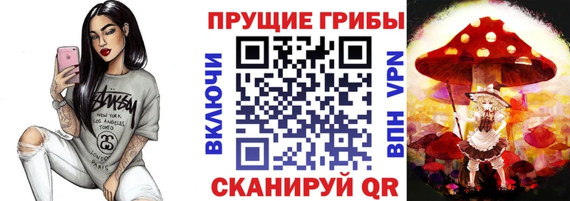 Галлюциногенные грибы ЛСД  где можно купить наркотик  Усть-Лабинск 